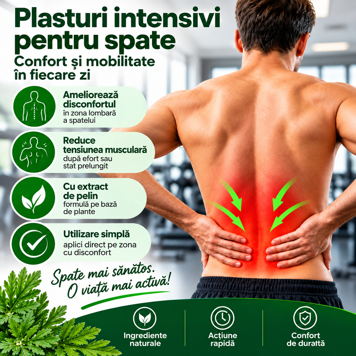 PLASTURI INTENSIVI CU PELIN